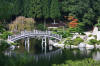 Hiroshima Garden page 2  24 