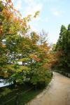 Hiroshima Garden page 7  10 