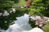 Hiroshima Garden page 8  24 