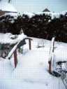 neige05.jpg