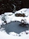 neige06.jpg