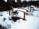 neige08.jpg