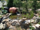 a2001_0626AH.JPG