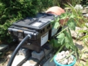 a2001_0626AR.JPG