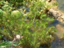 a2001_0626AU.JPG