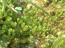 a2001_0626AV.JPG