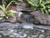 PICT0007a.jpg