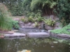 PICT0009a.jpg