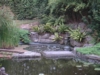 PICT0015a.jpg