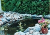 close-up1.jpg