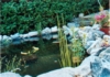 close-up2.jpg