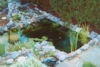 etang2.jpg