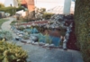 lenetang8.jpg