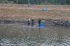 Koi Hunting of Danny's koi caf november 2008 - Sakai fish farm harvest in mud pond 1  7 