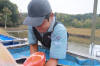 Koi Hunting of Danny's koi caf november 2008 - Sakai fish farm harvest in mud pond 2  5 