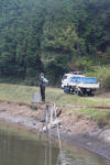 Koi Hunting of Danny's koi caf november 2008 - Sakai fish farm harvest in mud pond 2  15 