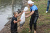 Koi Hunting of Danny's koi caf november 2008 - Sakai fish farm harvest in mud pond 2  25 