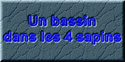 Un bassin dans les 4 sapins page 4  1 