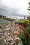 Cascade et bassin de rve 2  23 