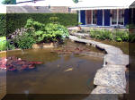 Le jardin aquatique de rêve du Condroz - Printemps 2003  7 