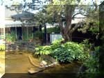 Le jardin aquatique de rêve du Condroz - Printemps 2003  19 