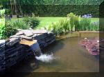 Le jardin aquatique de rêve du Condroz - Printemps 2003  22 