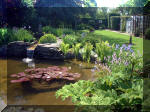 Le jardin aquatique de rêve du Condroz - Printemps 2003  31 