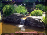 Le jardin aquatique de rêve du Condroz - Printemps 2003  33 