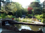 Le jardin aquatique de rêve du Condroz - Printemps 2003 2  38 