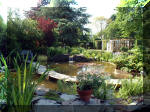 Le jardin aquatique de rêve du Condroz - Printemps 2003 2  37 