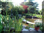 Le jardin aquatique de rêve du Condroz - Printemps 2003 2  35 