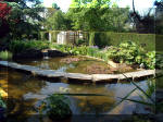 Le jardin aquatique de rêve du Condroz - Printemps 2003 2  29 