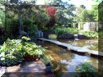 Le jardin aquatique de rêve du Condroz - Printemps 2003 2  34 