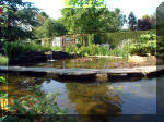 Le jardin aquatique de rêve du Condroz - Printemps 2003 2  32 