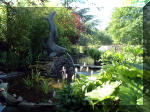 Le jardin aquatique de rêve du Condroz - Printemps 2003 2  30 