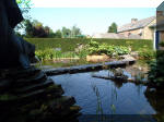 Le jardin aquatique de rêve du Condroz - Printemps 2003 2  28 
