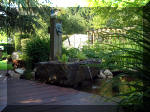 Le jardin aquatique de rêve du Condroz - Printemps 2003 2  25 