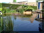 Le jardin aquatique de rêve du Condroz - Printemps 2003 2  24 