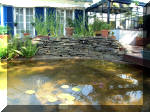 Le jardin aquatique de rêve du Condroz - Printemps 2003 2  19 