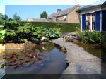 Le jardin aquatique de rêve du Condroz - Printemps 2003 2  17 