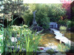 Le jardin aquatique de rêve du Condroz - Printemps 2003 2  4 