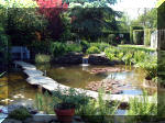 Le jardin aquatique de rêve du Condroz - Printemps 2003 2  3 