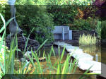 Le jardin aquatique de rêve du Condroz - Printemps 2003 2  20 