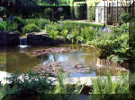 Le jardin aquatique de rêve du Condroz - Printemps 2003 2  40 