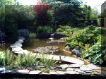 Le jardin aquatique de rêve du Condroz - Printemps 2003 2  43 