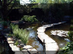 Le jardin aquatique de rêve du Condroz - Printemps 2003 2  44 