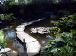 Le jardin aquatique de rêve du Condroz - Printemps 2003 2  33 