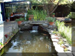 Le jardin aquatique de rêve du Condroz - Printemps 2003 3  2 