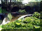 Le jardin aquatique de rêve du Condroz - Printemps 2003 3  10 