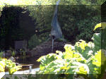 Le jardin aquatique de rêve du Condroz - Printemps 2003 3  5 